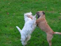 Klik op de foto voor groter formaat